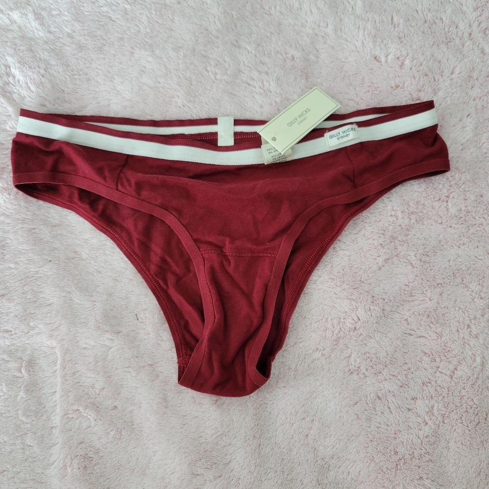 4 for $20 Gilly Hicks stretch panty